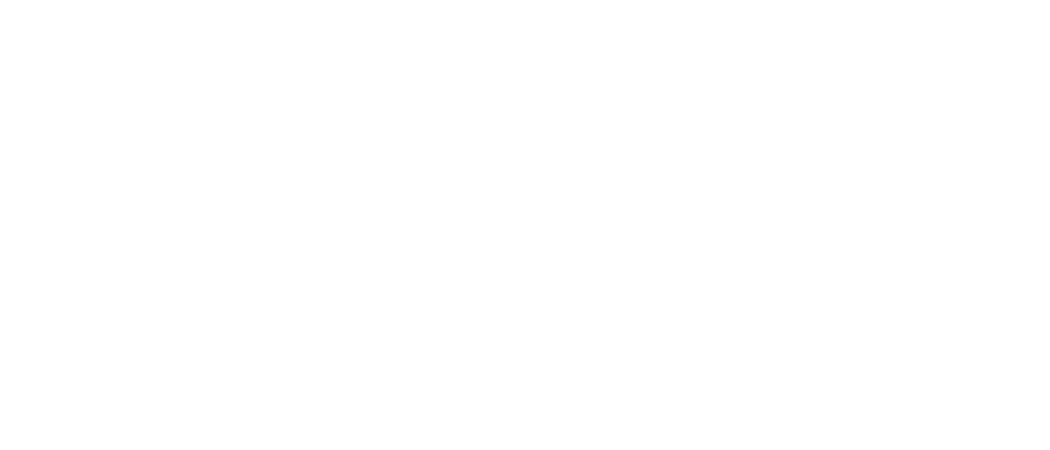 Silicon Repairs Logo